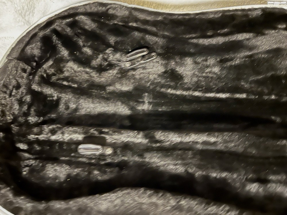 BIG Viola Thermoplastic Hard case