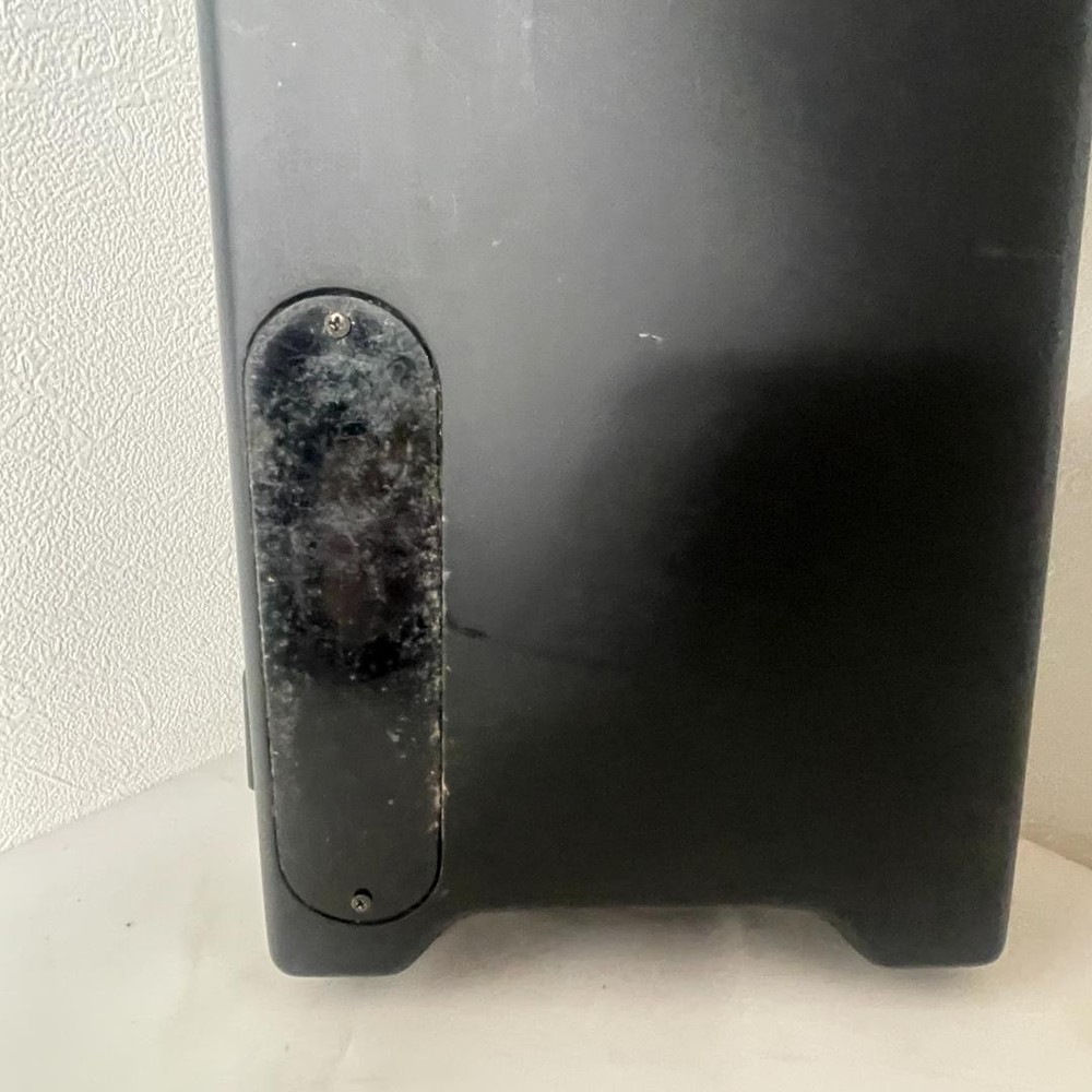 Headless Electric Bass