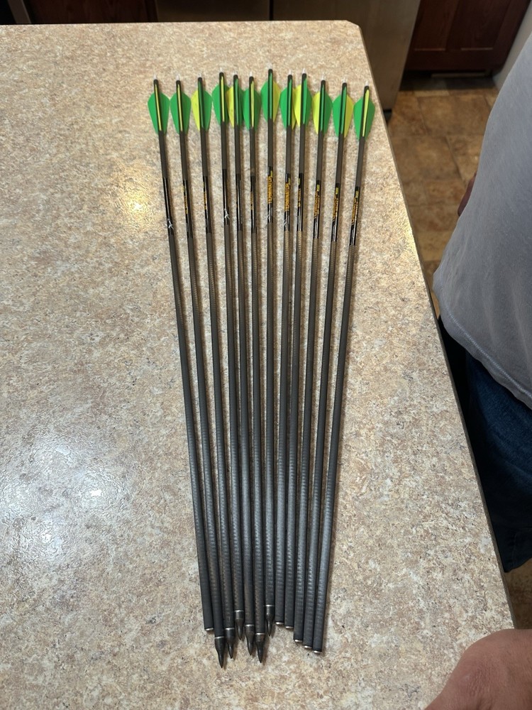 Carbon Express Terminator XP 4560