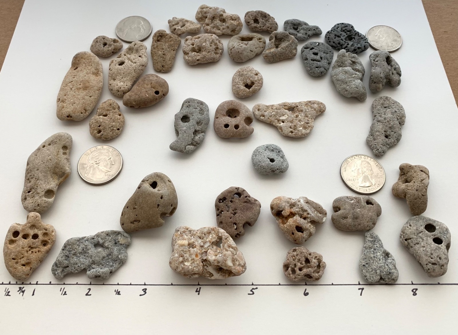 35 Adder Holey Beach Rocks Hag Stones Fairy Lucky Wish Magic Natural 1" #B2 US❤️