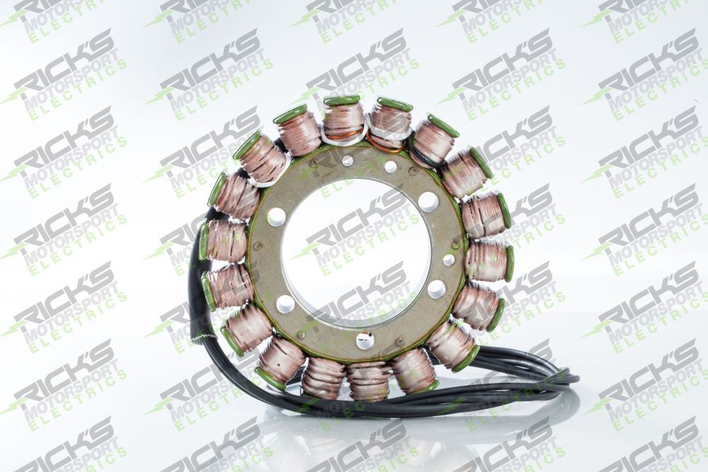 Ricks Stator For BMW F800GS 2007-2017 21-023