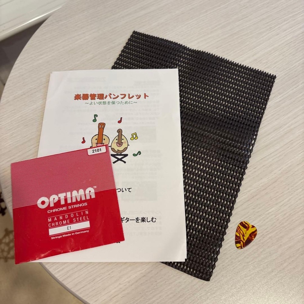 Basiko (flat mandolin) case