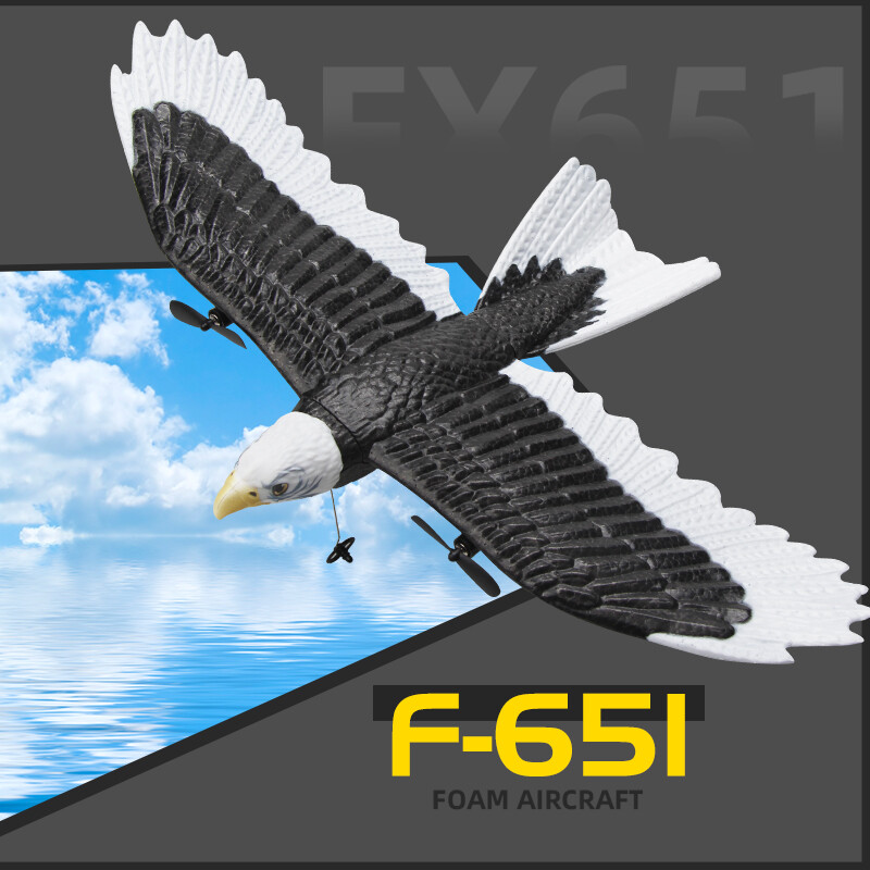 Mini RC Plane Remote Control Eagle Plane, RTF Airplane,Flying Bird for Beginners