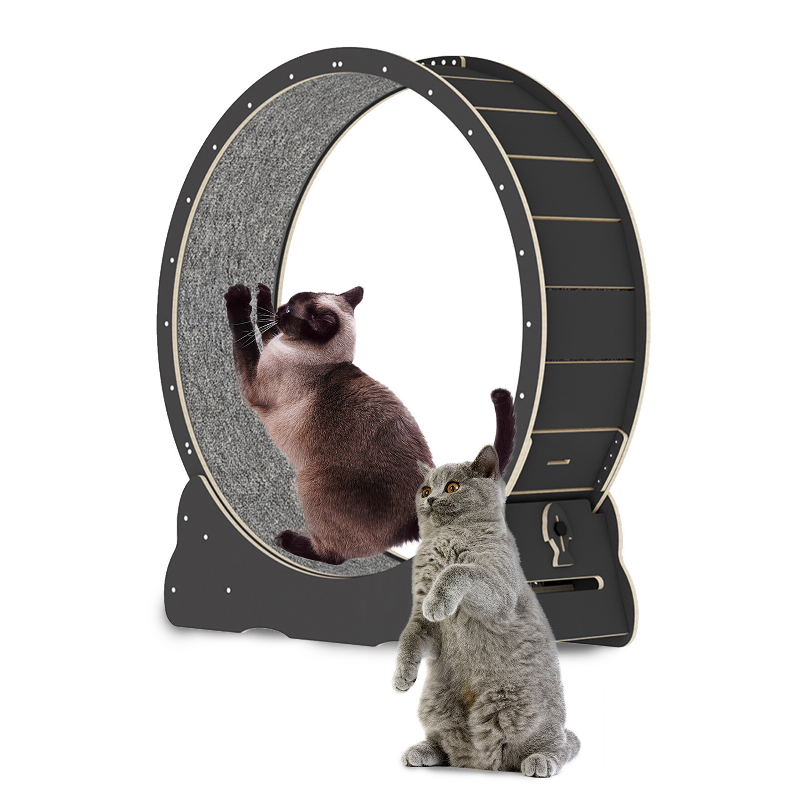 Cat Exercise Wheel Solid Wooden Cat Treadmill Running Wheel Cat Sport Kitty Toy