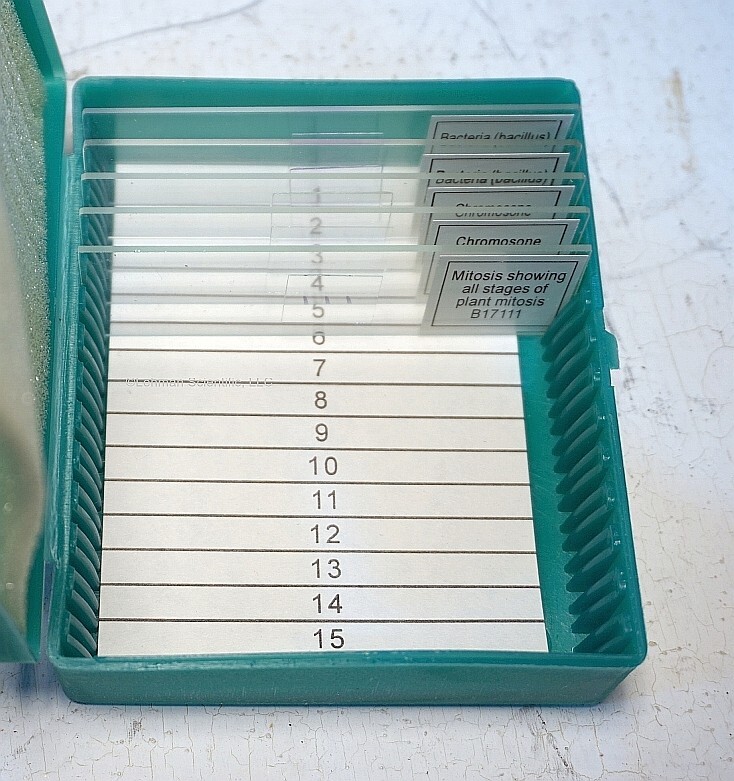 Prepared Microscope Slide Set, Microbiology/Genetics, 5 Slides, New!
