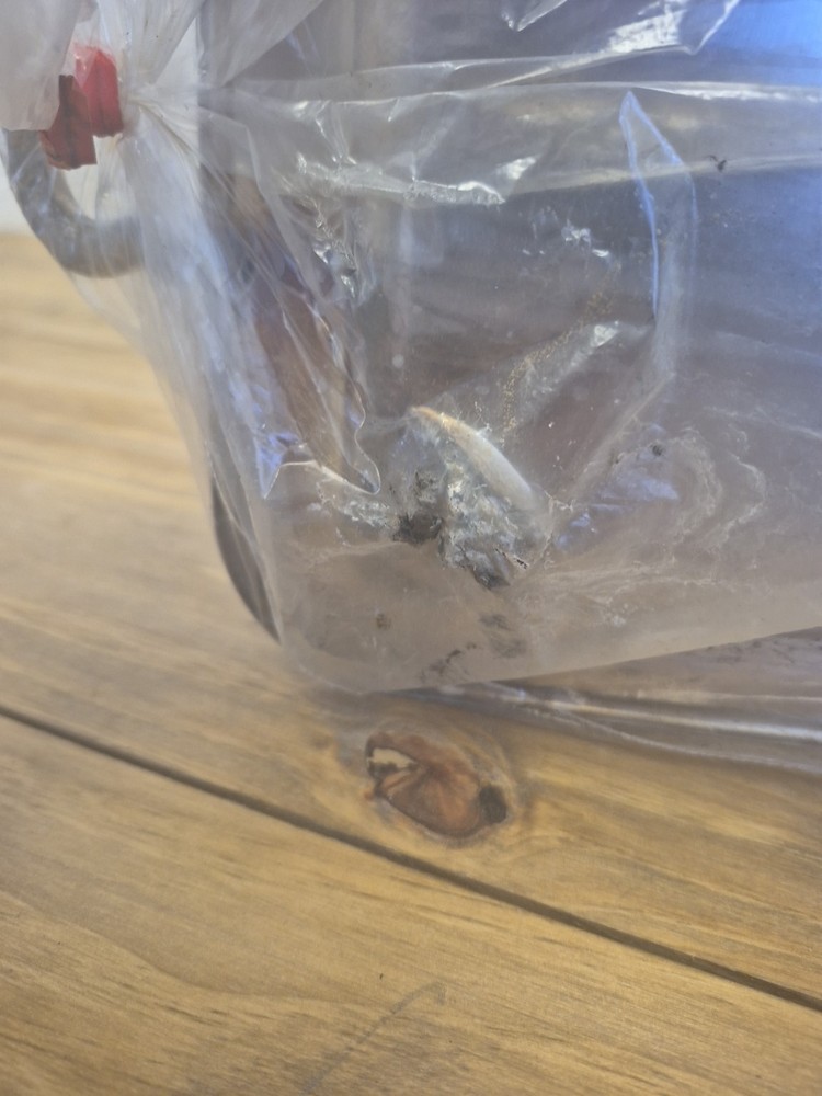 Vintage Silver Serving Tray With Glass Inserts