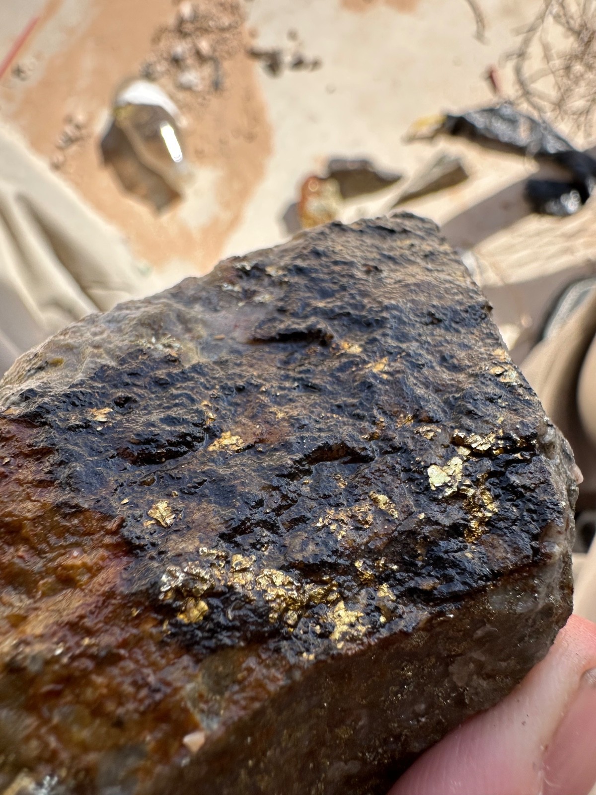 GOLD ORE SAMPLE SPECIMENS 1.5 lbs