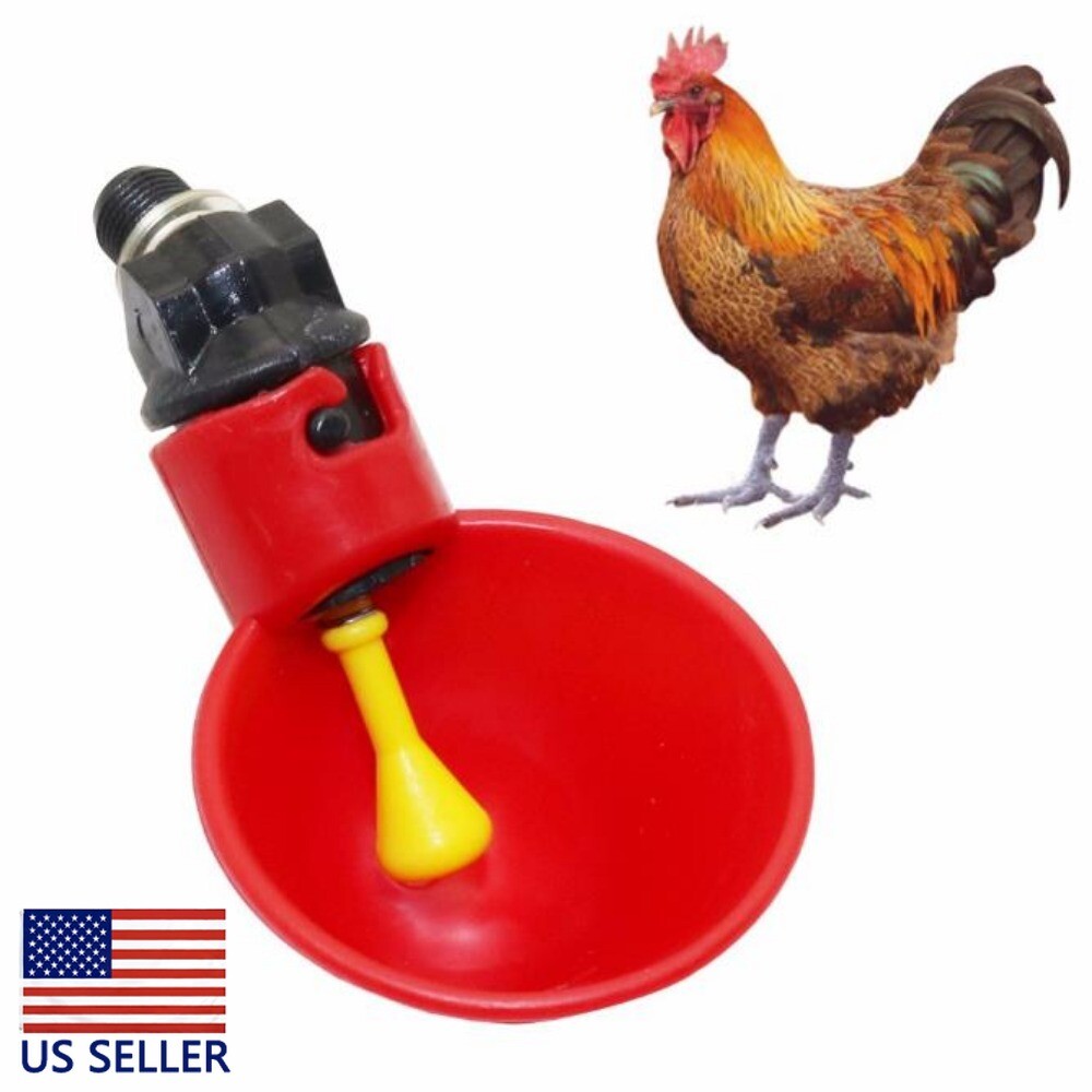 10PCS Chicken Drinking Cup Poultry Water Dispenser Split Automatic Water Feeder