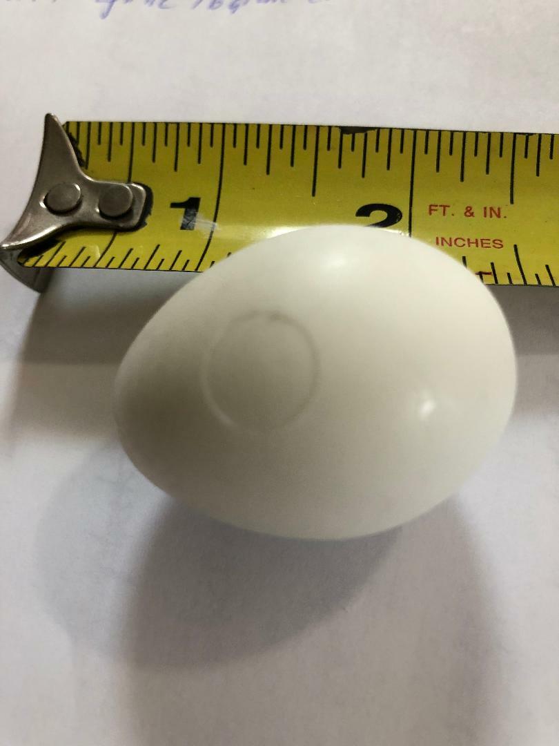 6x White Solid Plastic Pigeon Dove Eggs Dummy Eggs Improve Laying Survival Rate