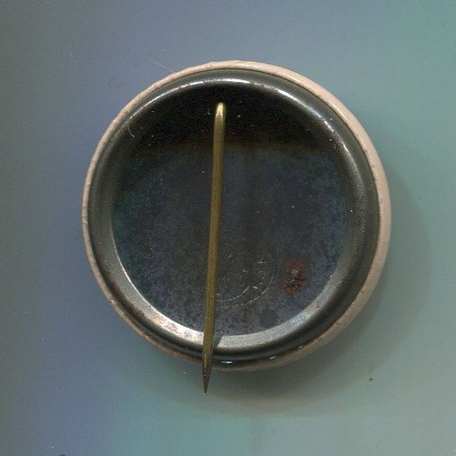 Mid 1960s LSD Legalize Spiritual Discovery Hippie Peace Love Acid Cause Pin