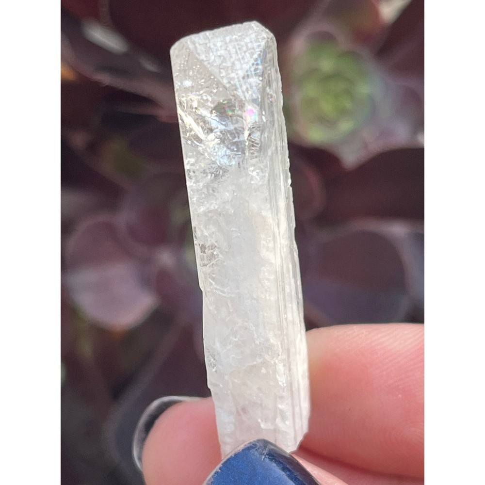 Aurora Mine Danburite Crystal Point: Raw Healing Stone, Mexico (1.7")