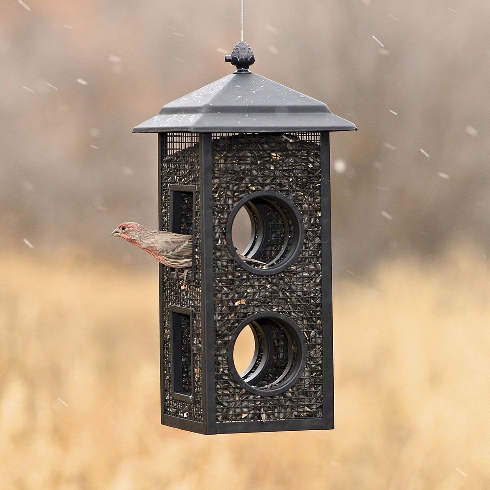 Perky-Pet B00303 Fly-Through Wild Bird Feeder, 1 Pack, Black