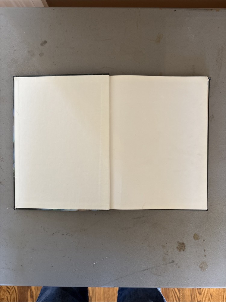 Dungeons and Dragons Dungeon Master's Guide