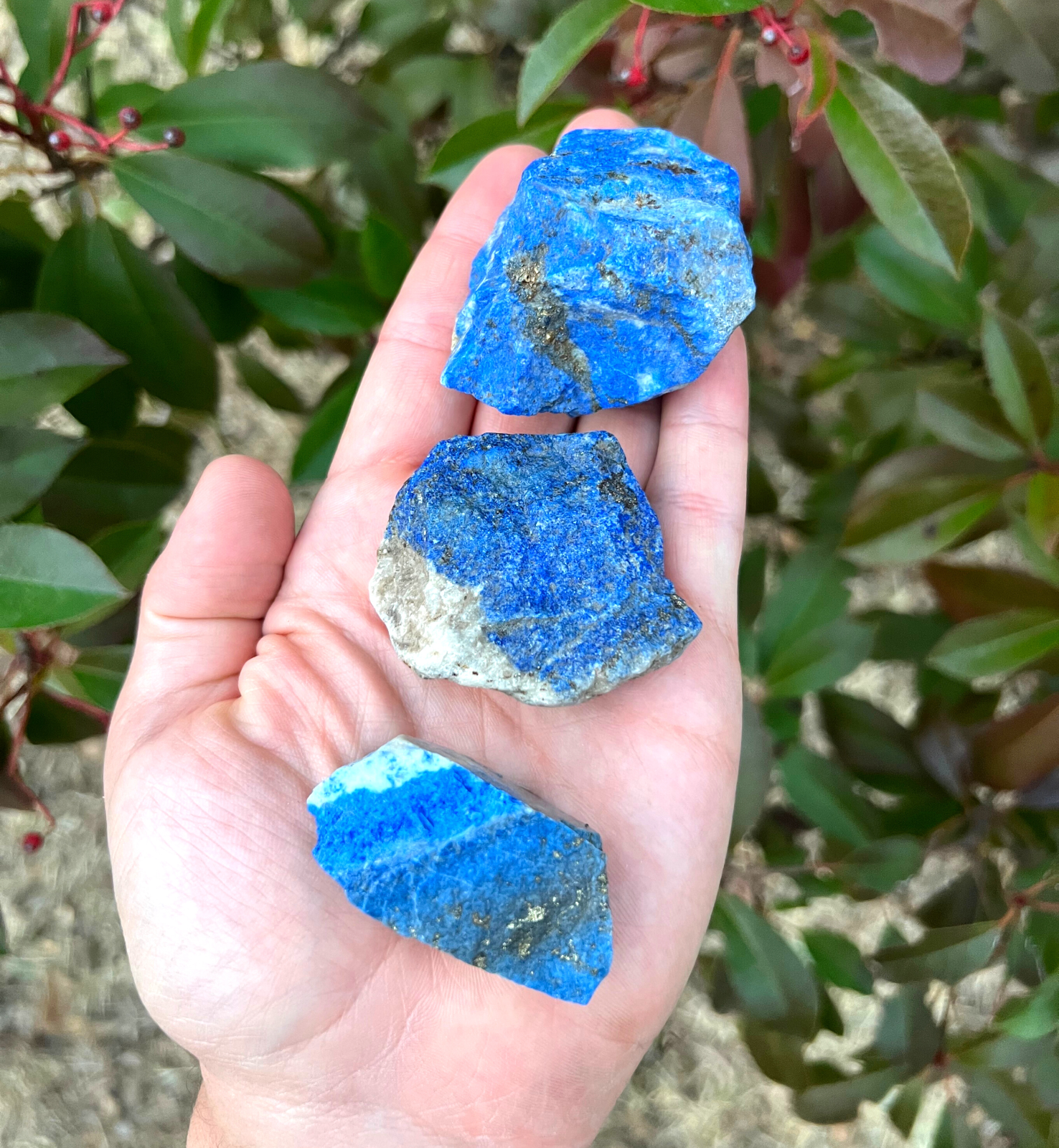 Lapis Lazuli - Rough Rocks for Tumbling - Bulk Wholesale 1LB options