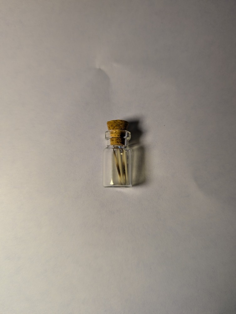 Hedgehog Quills Jar #5