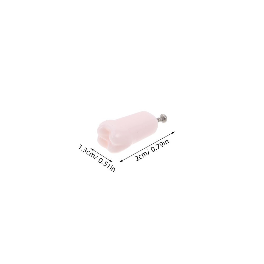 24pcs Typodont Teeth Model Dental Replacement Tooth Artificial Teeth