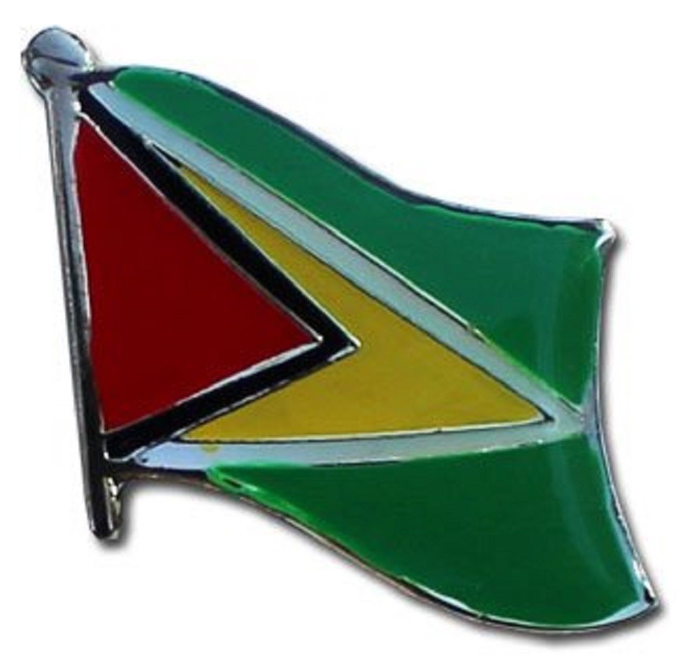 Guyana Flag Lapel Hat Pin FAST USA SHIPPING