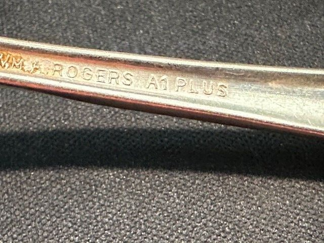 WM A. Rogers A1 Plus : Oneida LTD : Malibu : Silver Plate 6” Spoon : TX42