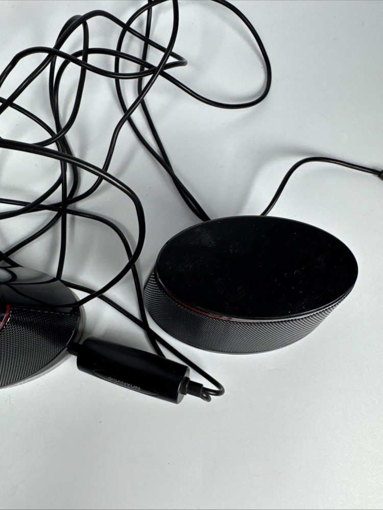 SANYUN Multimedia Computer Speakers 2.0 Model SW-102 Black USB Powered