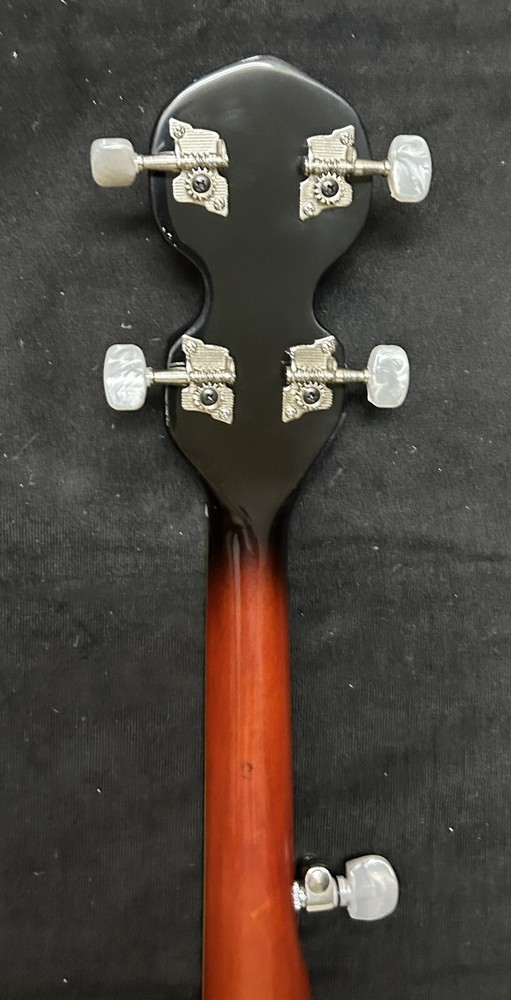 5 String Banjo, Brand Nee