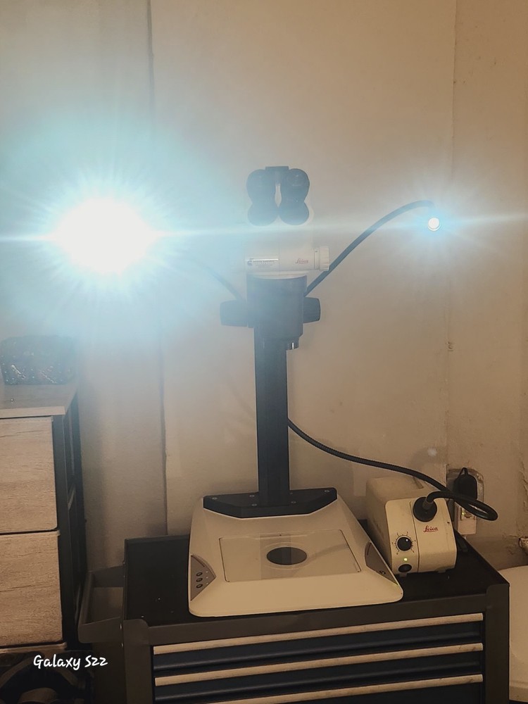 Leica S8AP0 Microscope With Camera Attachment With Firewire Cable Included