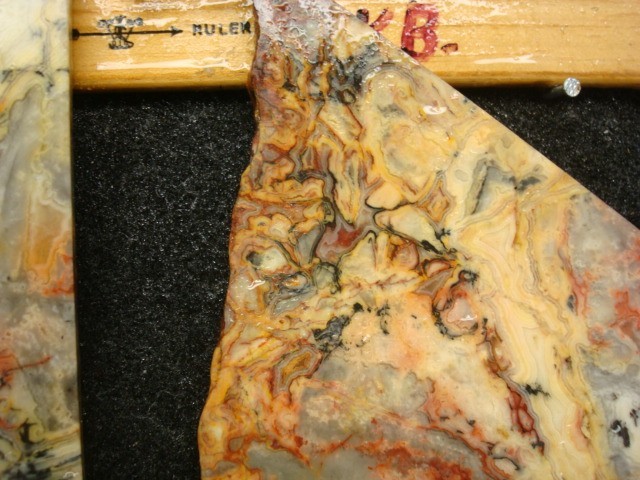 australlian crazy lace 2 slabs