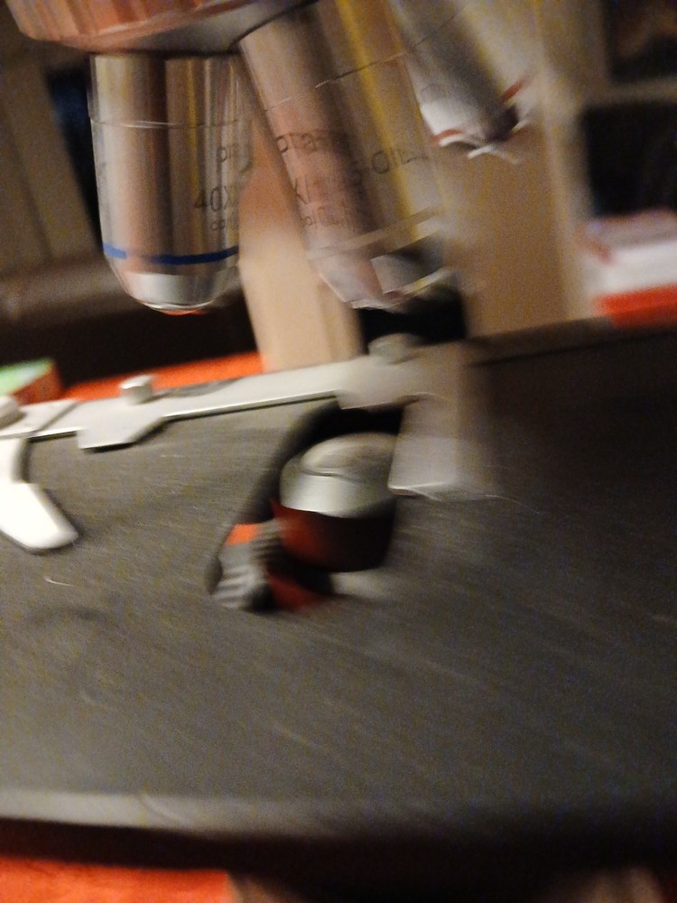 Seiler Microlux IV LED Compound Microscope With 5- Objectives