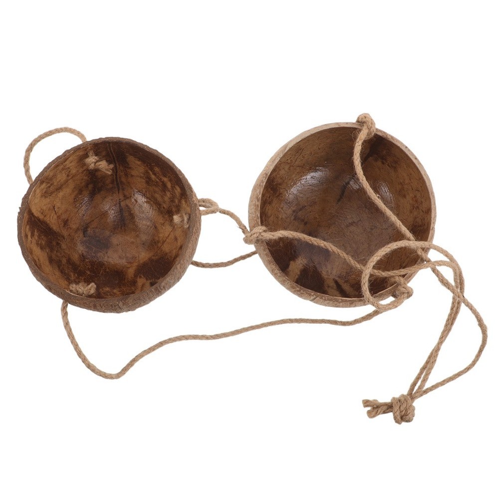 Bedroom Hanging Planter Decorative Coconut Shell Flower