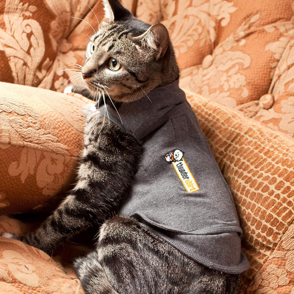 for Cats, Grey, Large ( 13 Lbs)