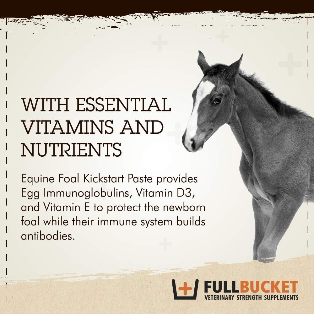 Foal Kick Start Immune Paste 80ml