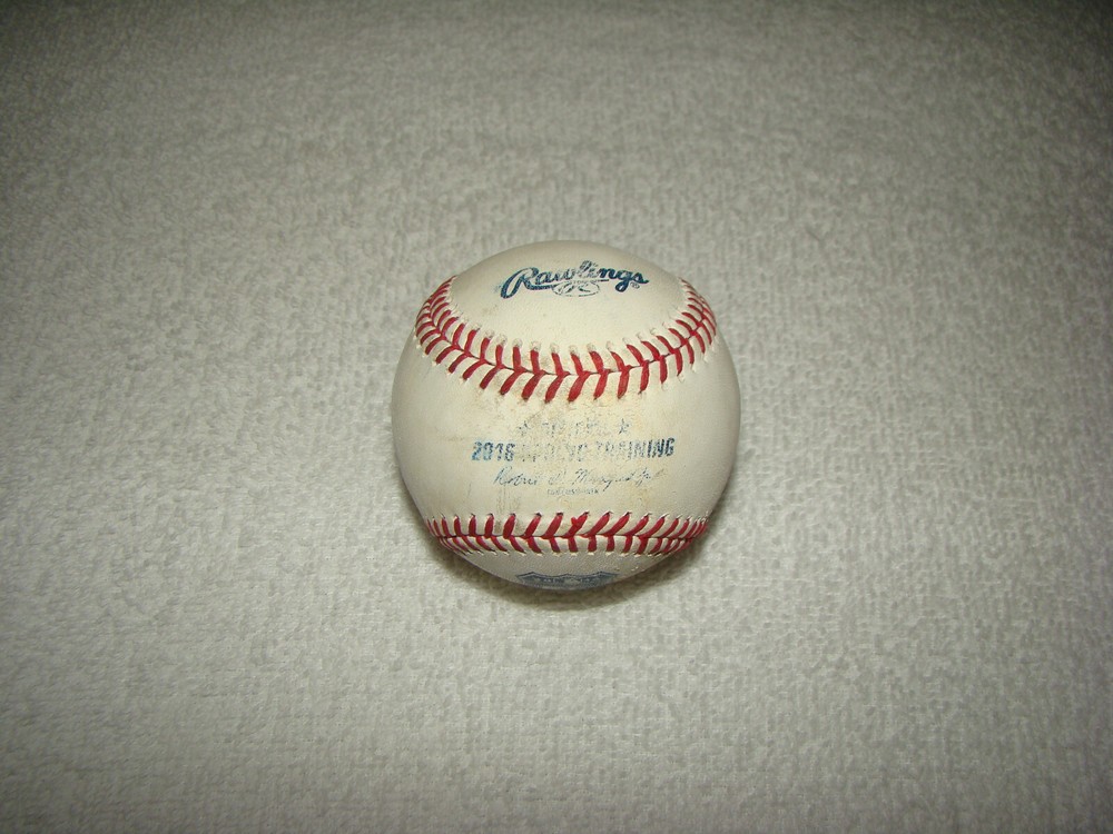 Ike Blessitt Hand Signed Spring Training Baseball Used Detroit Tigers MLB