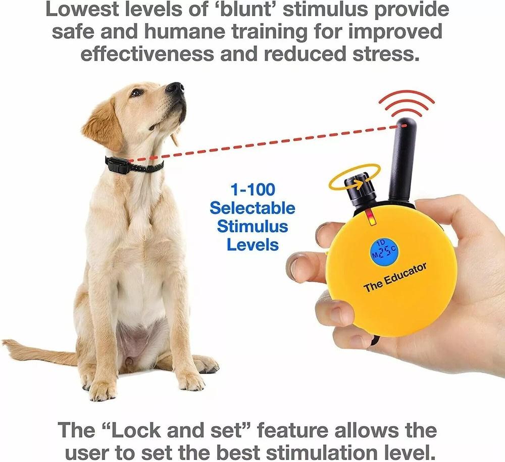 E-Collar Technologies ET-400 Replacement TRANSMITTER ONLY - Lavender NEW COLOR!