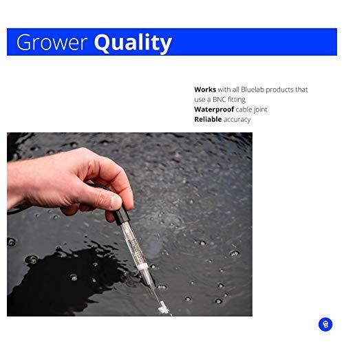 Bluelab PROBPH pH Probe, Replacement Probe with BNC Fitting, Easy Calibration