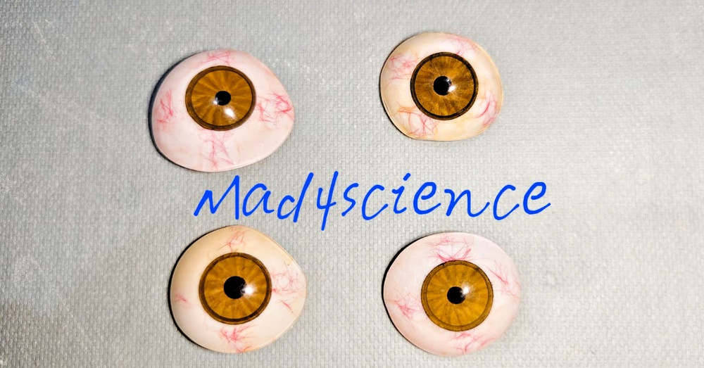 Artificial Human Prosthetic Eye Antique Acrylic Artificial Hazel 2 Eye pair 4pc.
