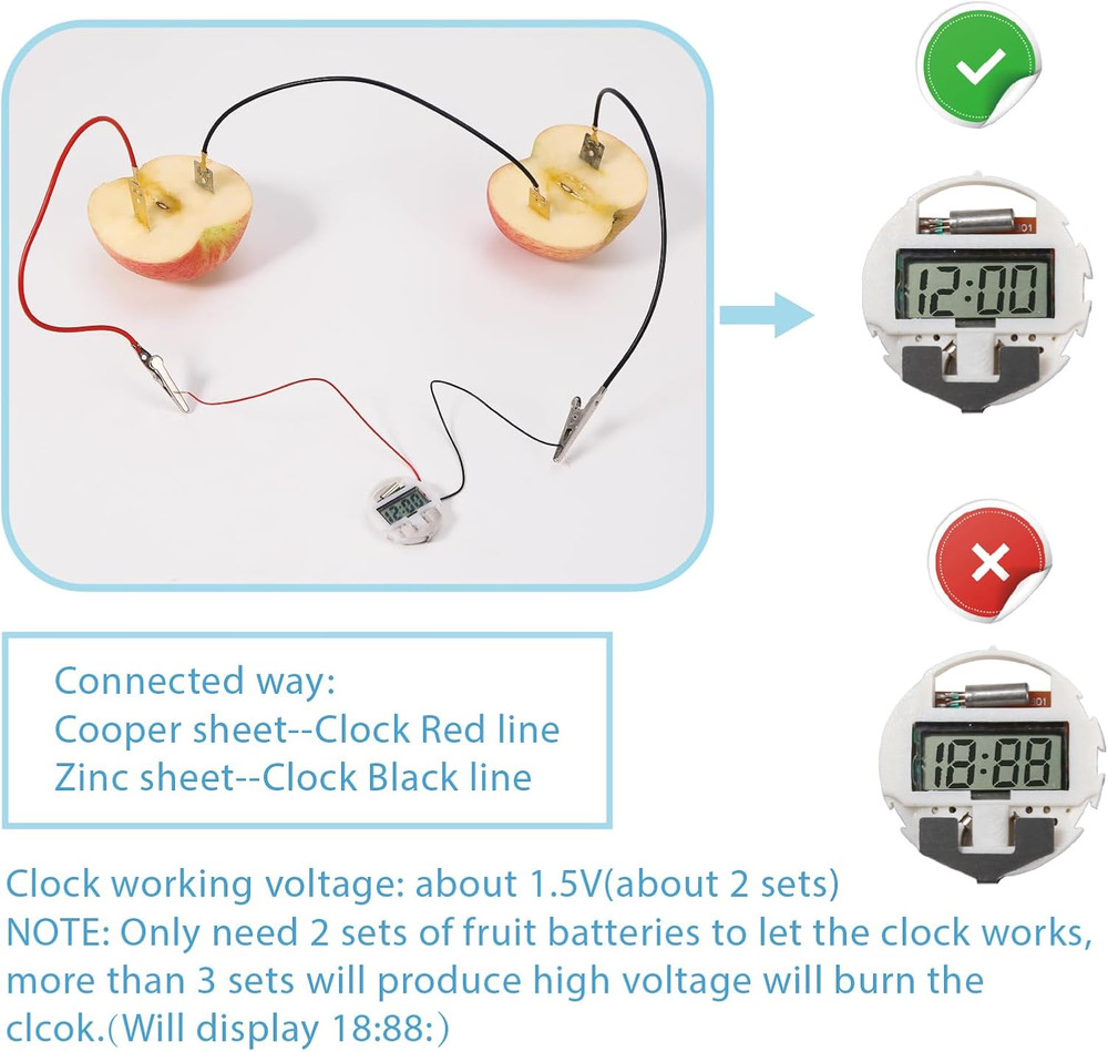 Sntieecr Fruit Battery Science Experiment Kit with Instruction, Potato Science E