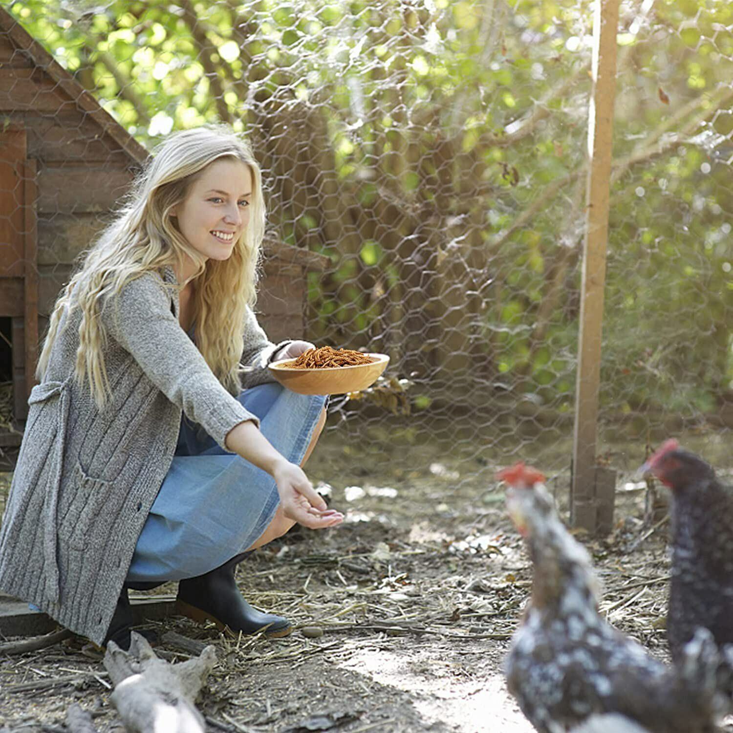 11LB Dried Black Soldier Fly Larvae Mealworms for Chicken Birds Treats Premium