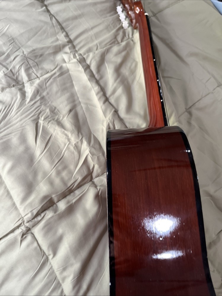 ariana guitar 570