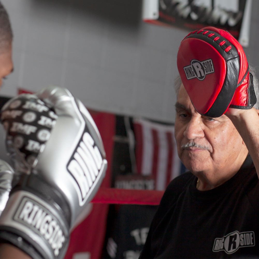 Ringside Mini Boxing Punch Mitts