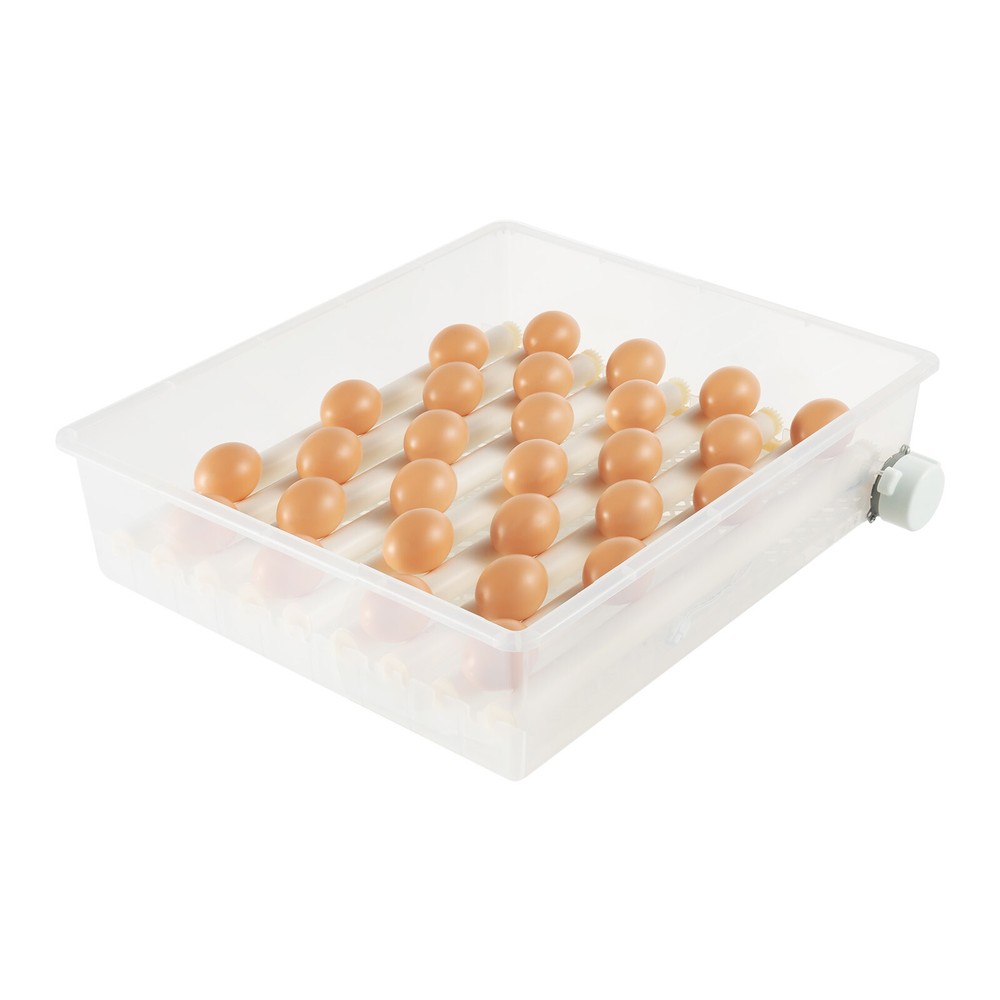 Single Tier Automatic Egg Turning Incubators Hatching Eggs Chicken Farm