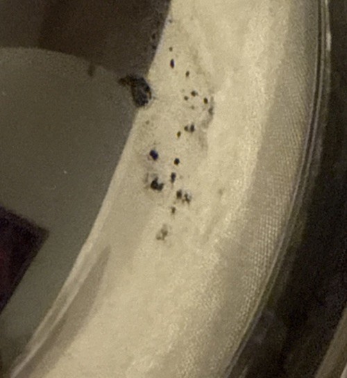 Heavy Silver Plated Serving Dish With Lid