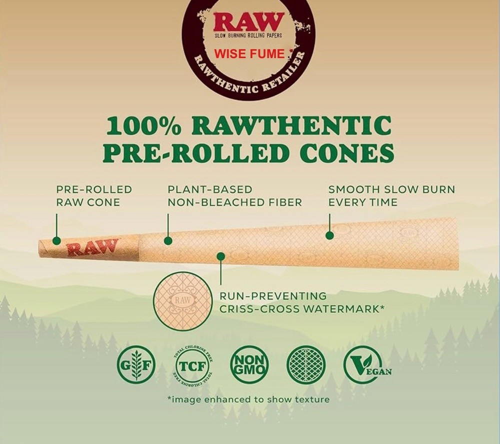RAW black 1 1/4 size pre rolled cone + Raw Three Tree Cone Case