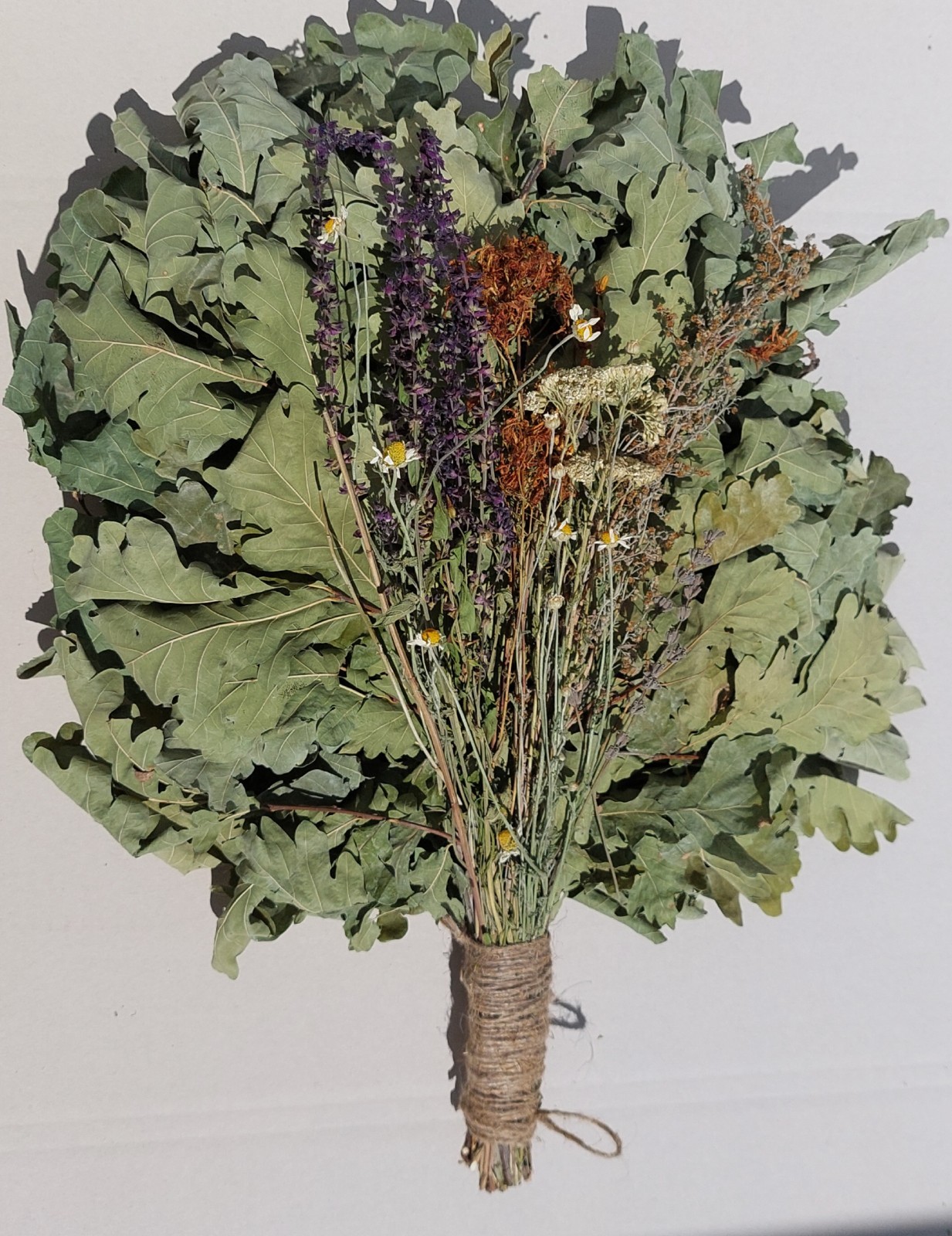 12st Oak brooms+herbs sauna banya venik whisks Eiche eco 2025 Ukrainian free shi