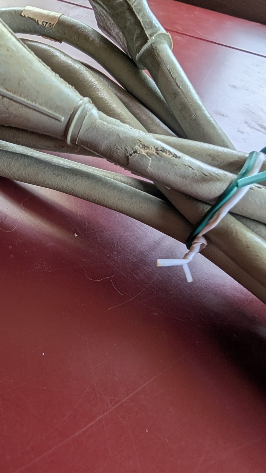 Champion Juicer Avocado heavy duty. "Cord shows wear but works fine"