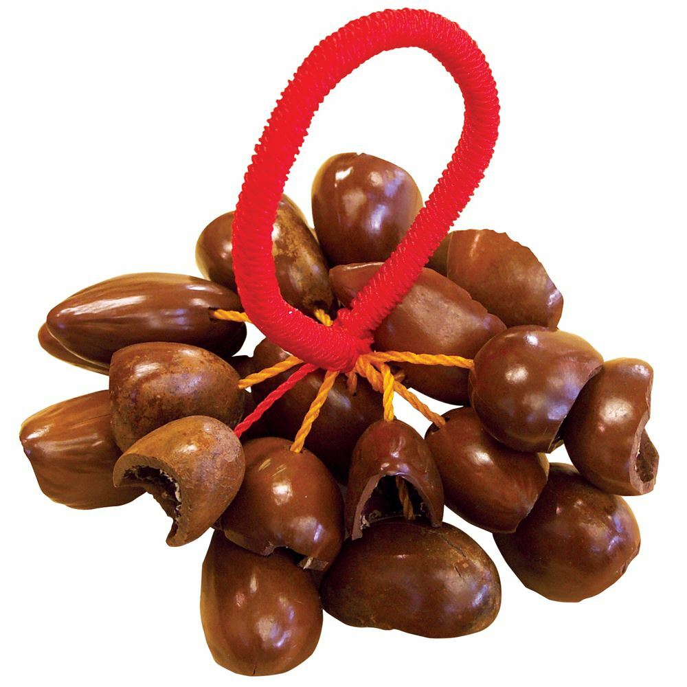 PP World African Nut Shell Shaker