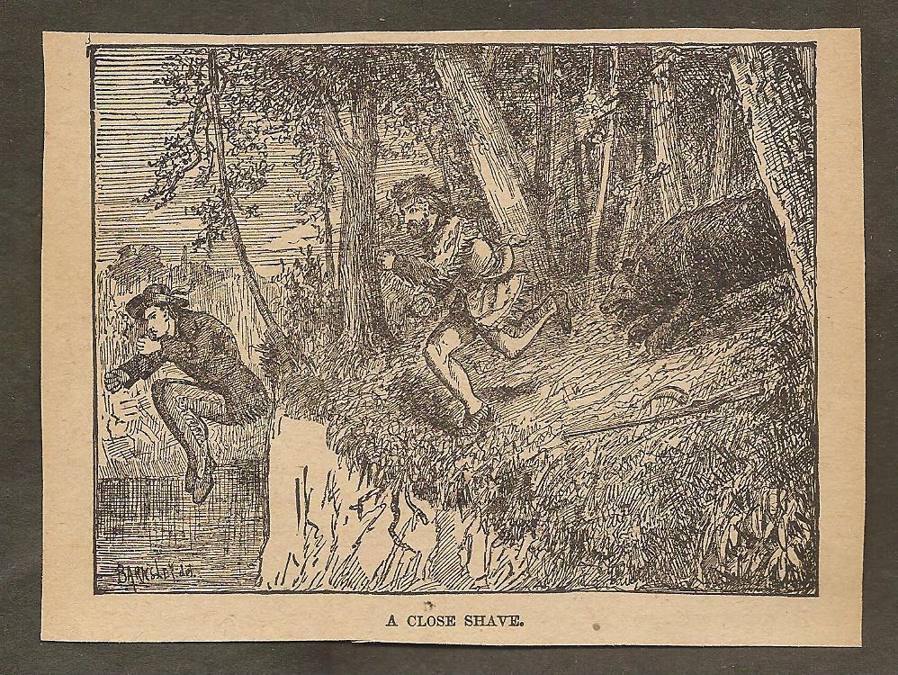 VINTAGE ILLUSTRATION -  A CLOSE SHAVE - ESCAPING FROM BEAR ATTACK
