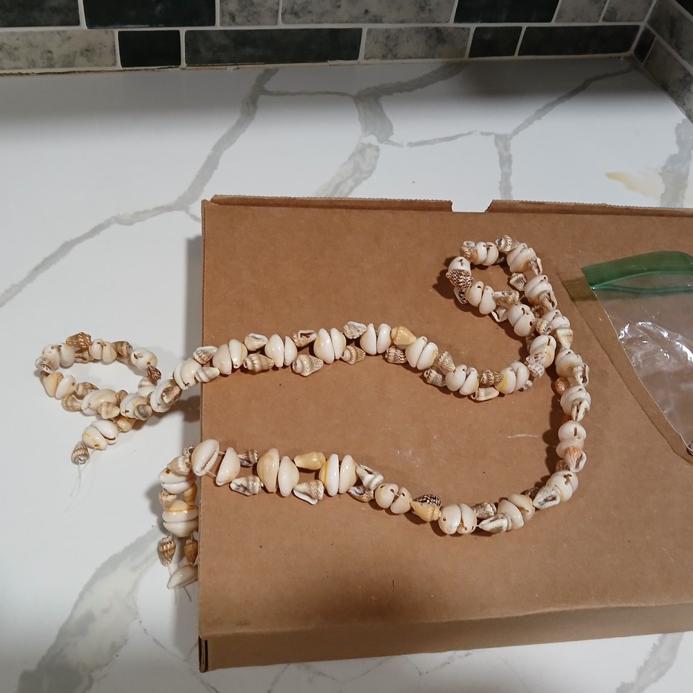 Broken Sea Shell Necklass With Small Holed SeaShells