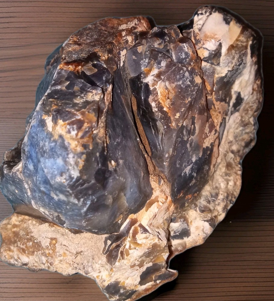 Dark Opalized Petrified Wood Rough 2 lbs