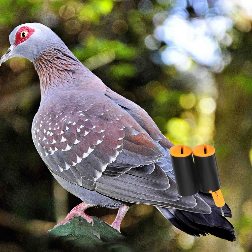 2 Pcs Multi-function Whistle Small Pigeon Dog Training for Recall Camping