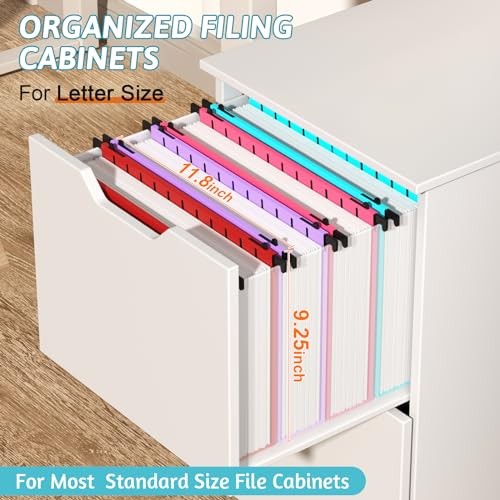 Extra Capacity Plastic Hanging File Folder Letter Size,12 Pack Multicolor