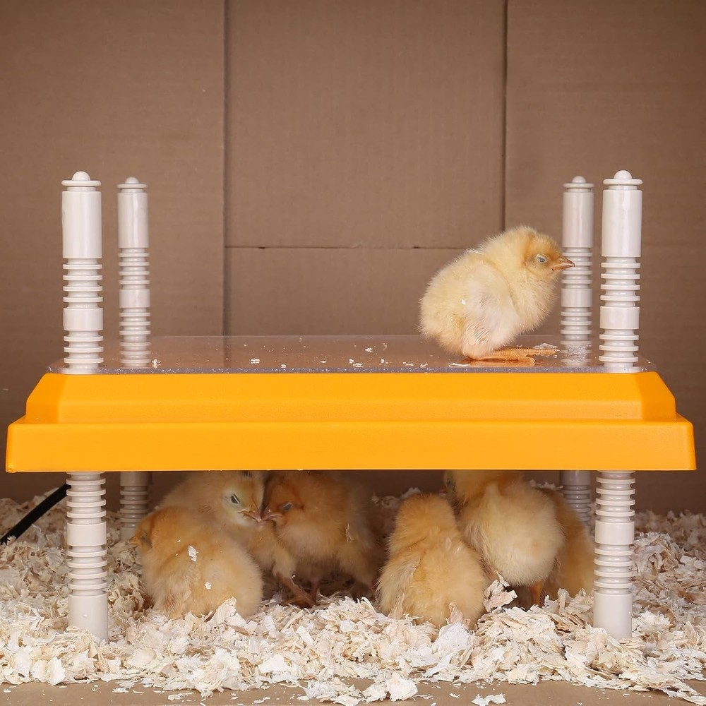 Durable Brooder Heater for Chicks - Height Adjustable & Effortlessly Clean 10x10